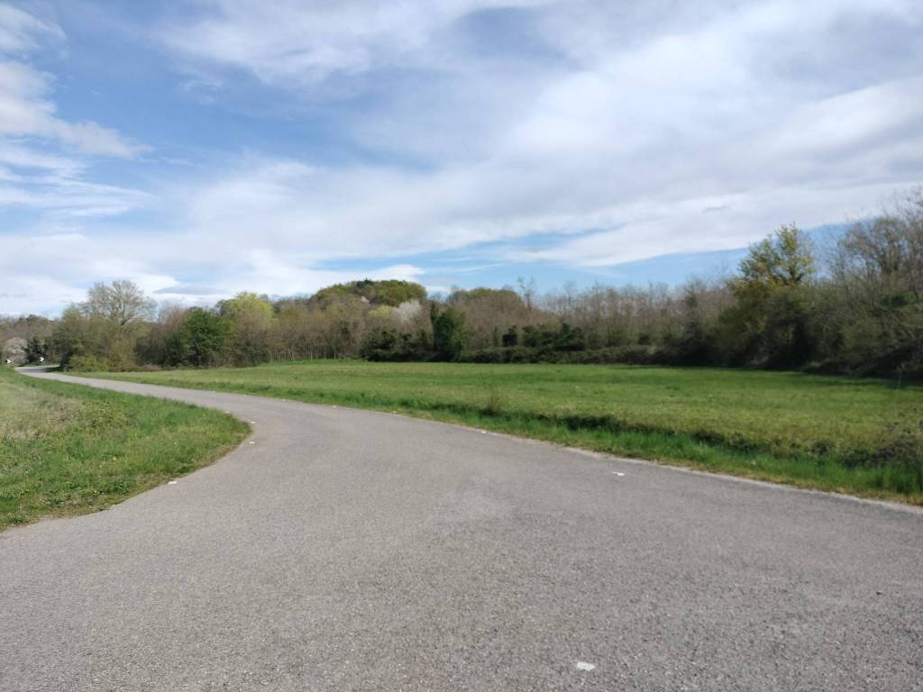 immagine annuncio 2 di 3