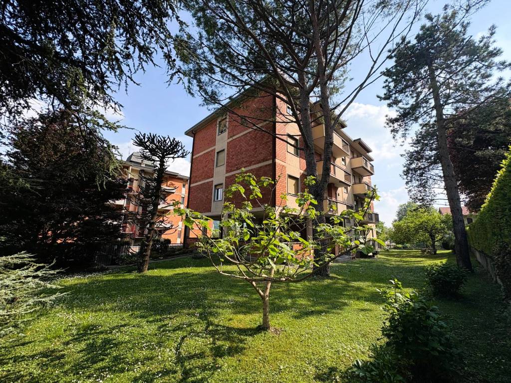 immagine annuncio 1 di 5