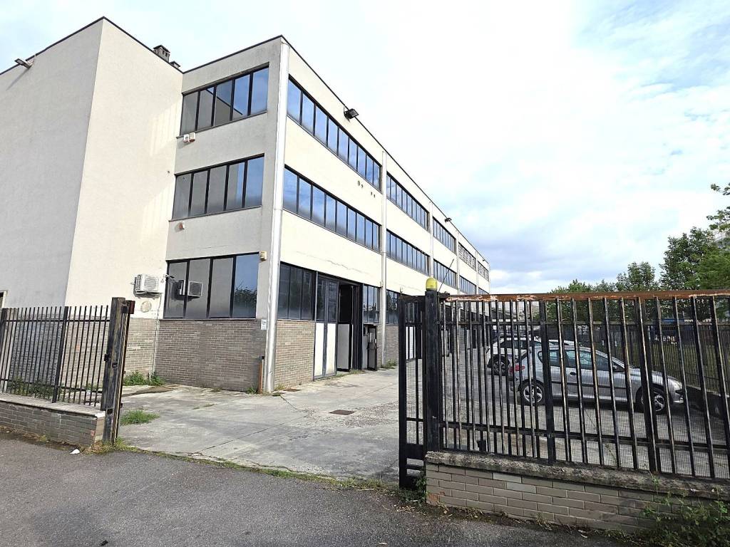 immagine annuncio 2 di 5