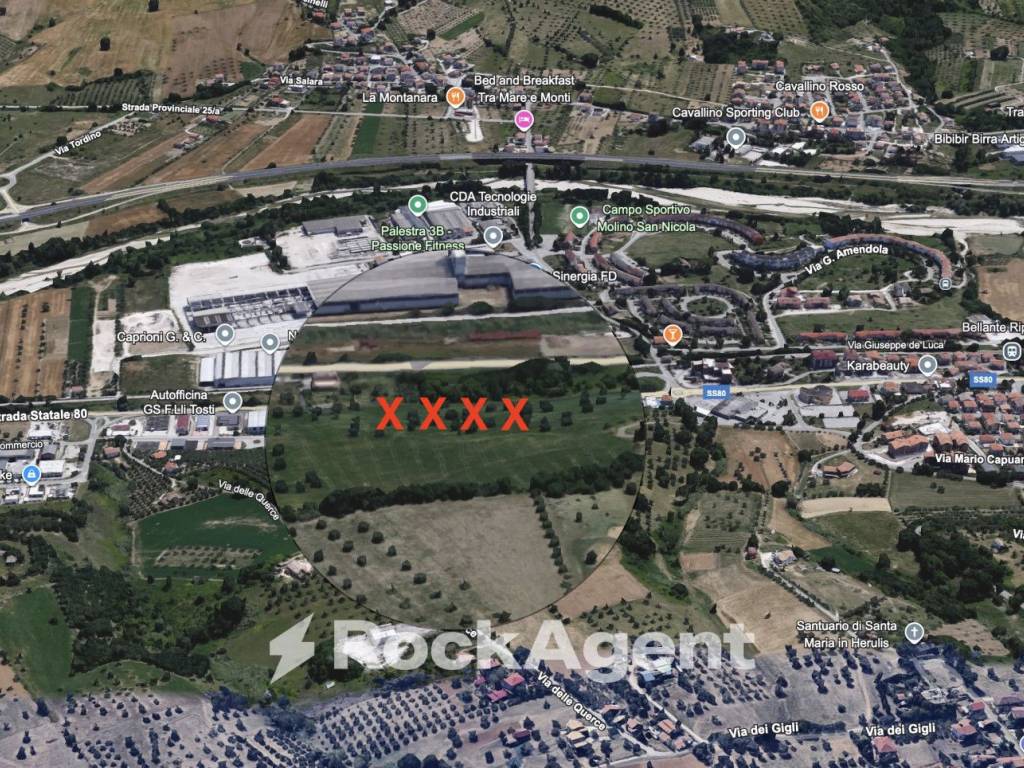 immagine annuncio 3 di 5