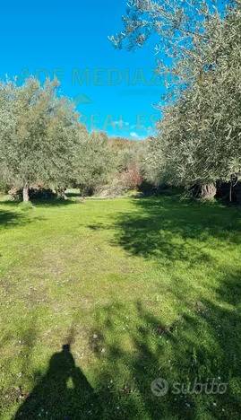 immagine annuncio 1 di 3