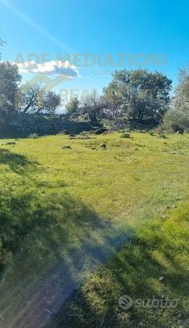 immagine annuncio 2 di 3