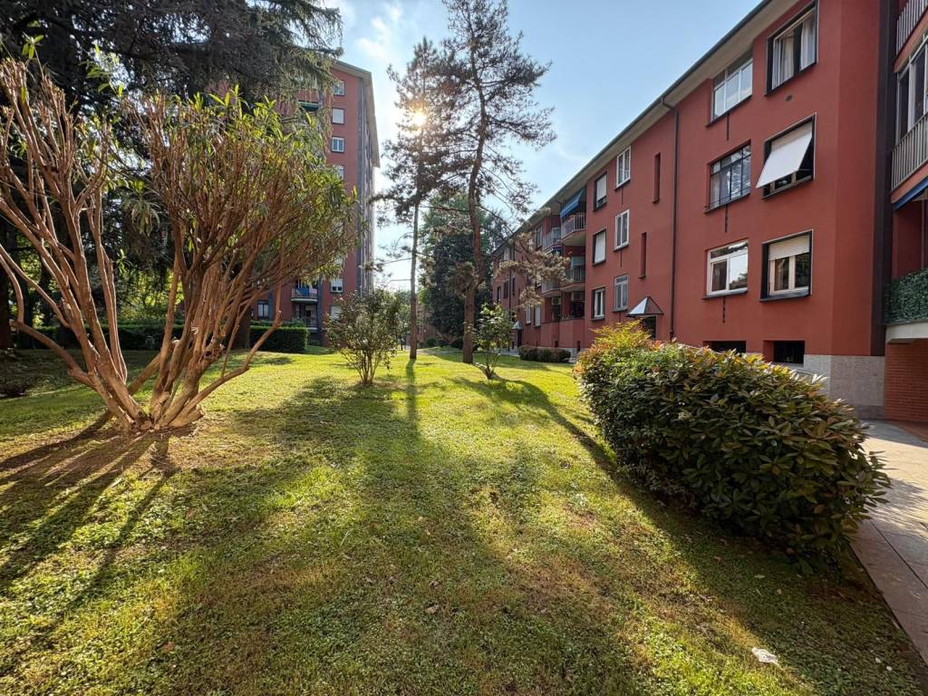 immagine annuncio 2 di 4