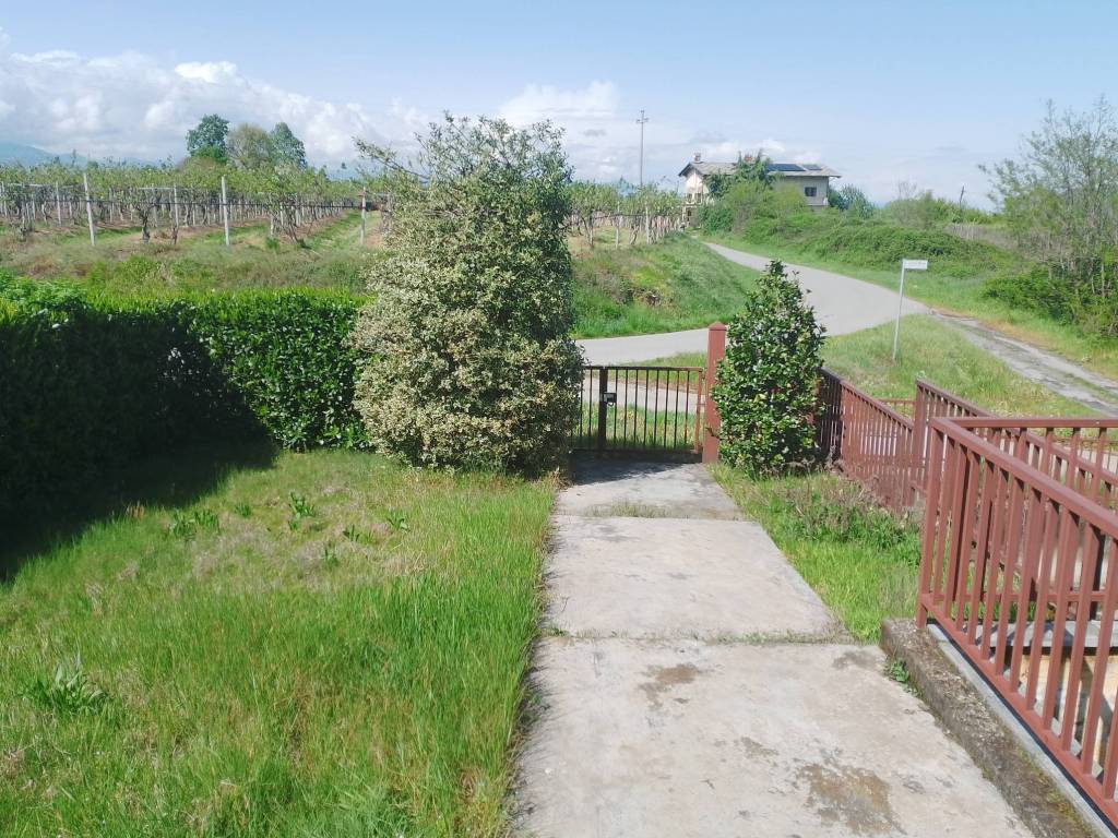 immagine annuncio 2 di 5