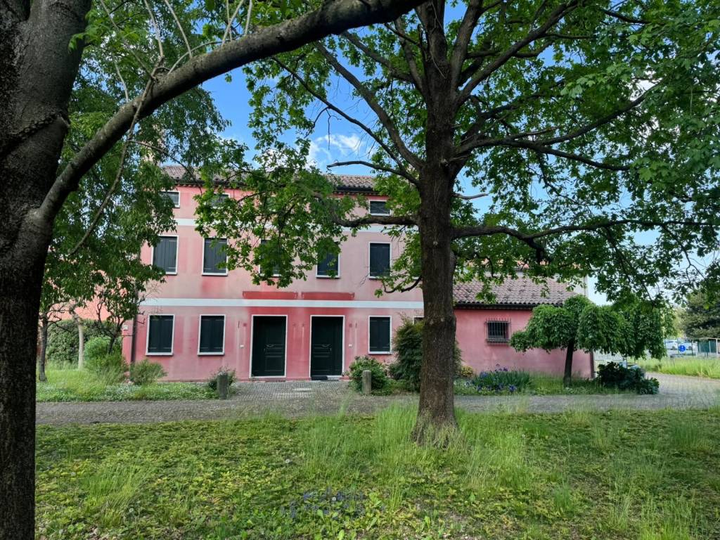 immagine annuncio 1 di 4