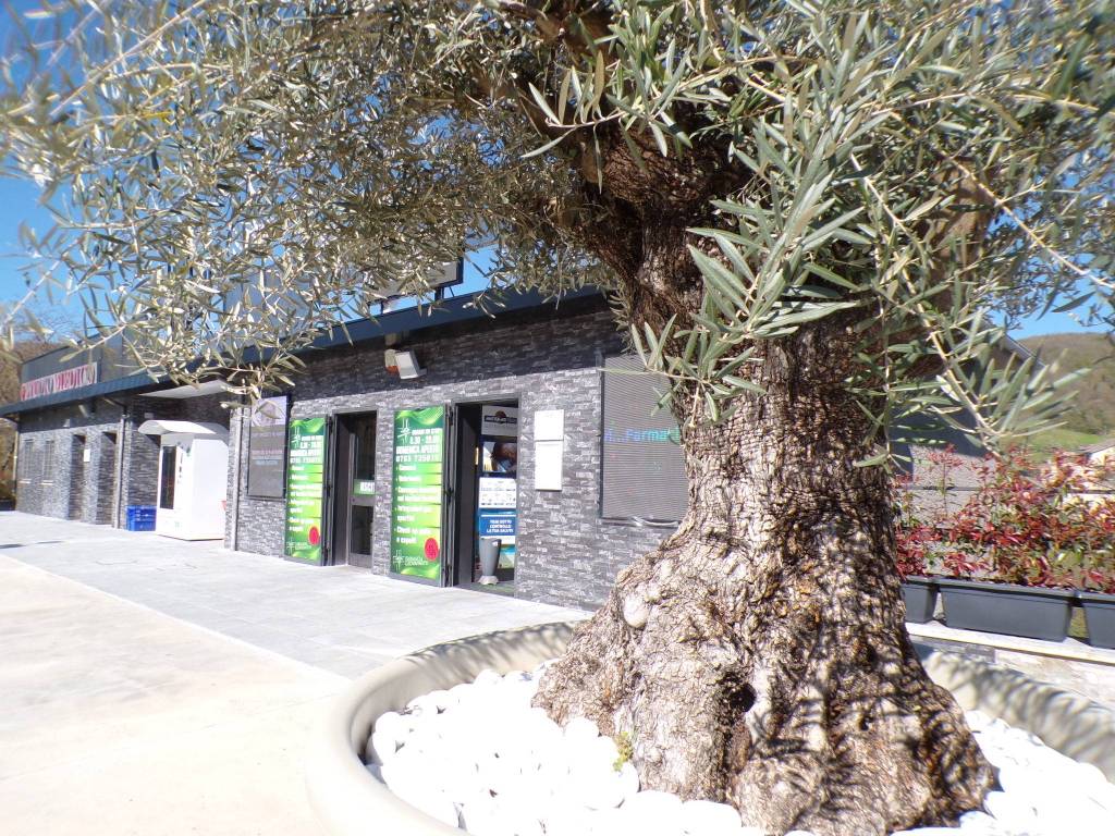 immagine annuncio 1 di 5