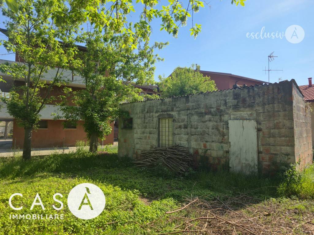 immagine annuncio 3 di 5