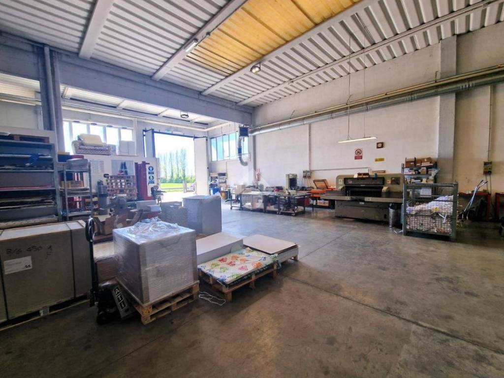 immagine annuncio 3 di 5