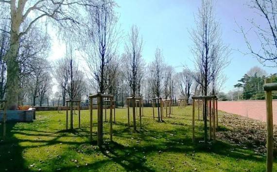 immagine annuncio 4 di 5