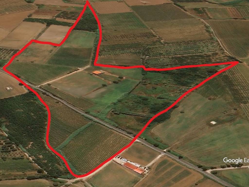 immagine annuncio 2 di 3