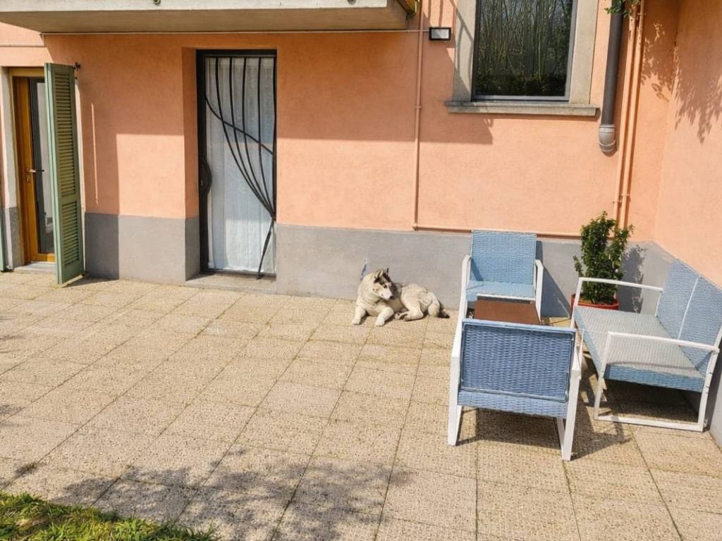 immagine annuncio 3 di 5