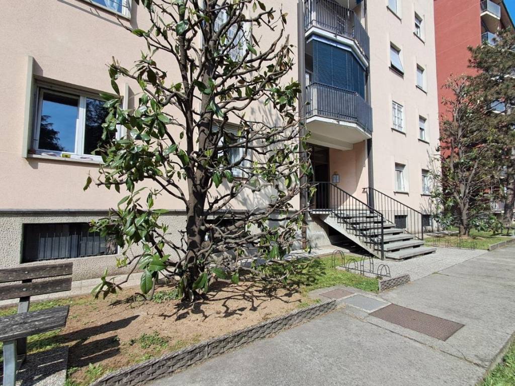 immagine annuncio 3 di 5