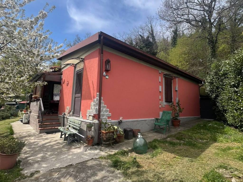 immagine annuncio 2 di 5