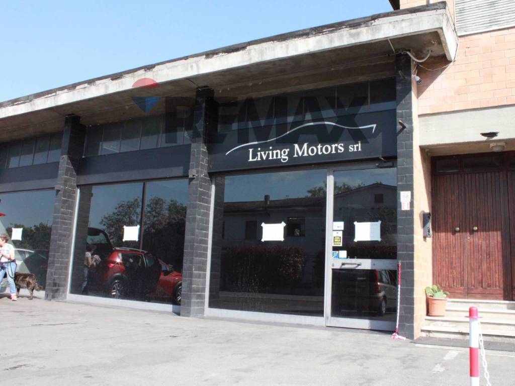 immagine annuncio 2 di 5