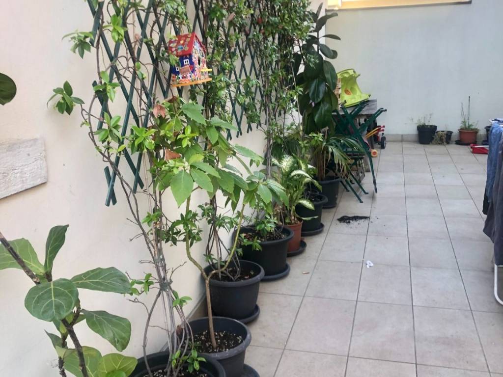 immagine annuncio 1 di 4