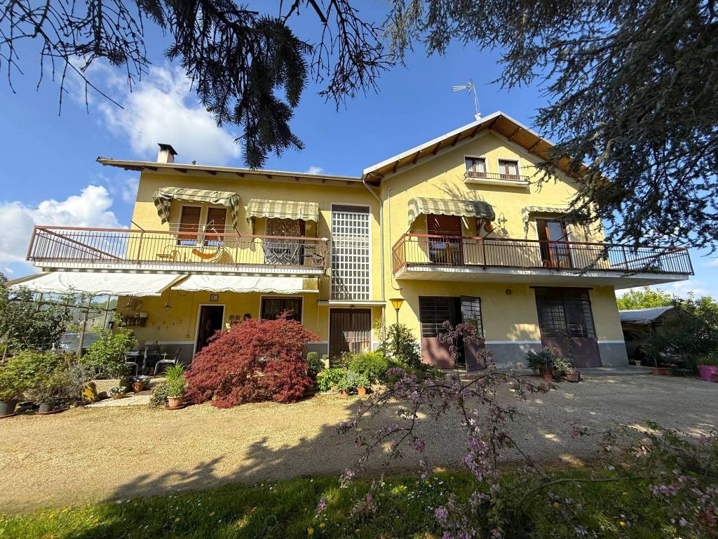 immagine annuncio 2 di 5