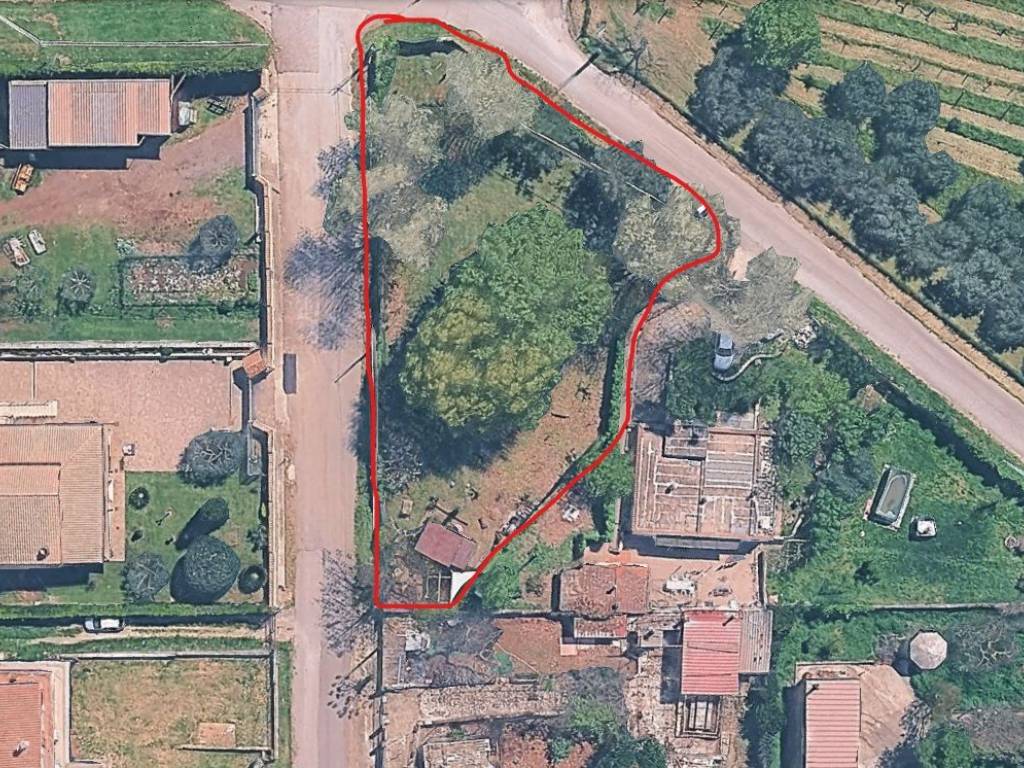 immagine annuncio 1 di 2