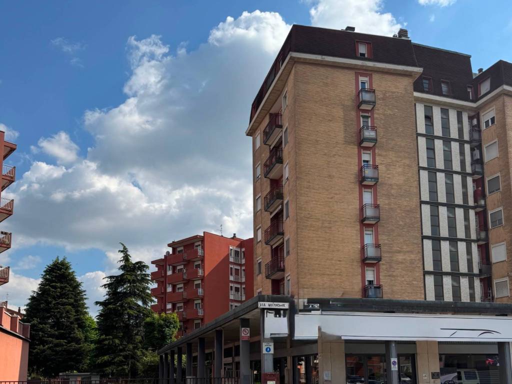 immagine annuncio 2 di 5