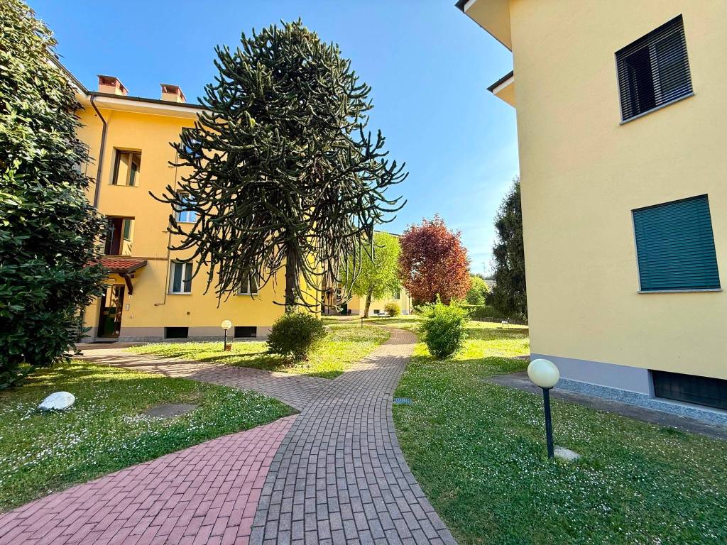 immagine annuncio 2 di 5