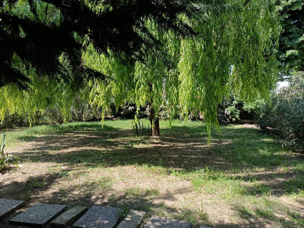 immagine annuncio 2 di 3