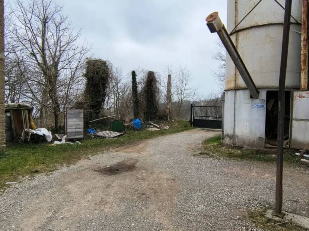 immagine annuncio 1 di 3