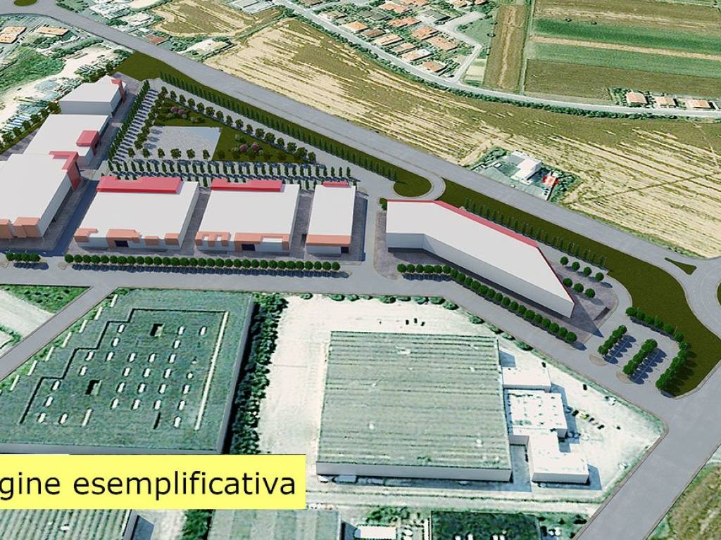 immagine annuncio 2 di 5