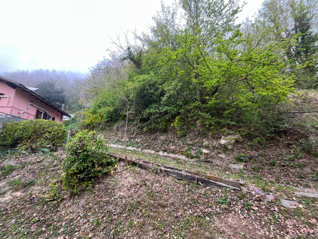 immagine annuncio 2 di 4