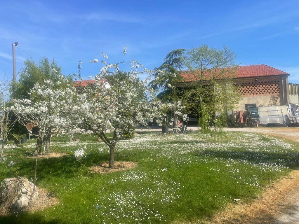 immagine annuncio 2 di 5