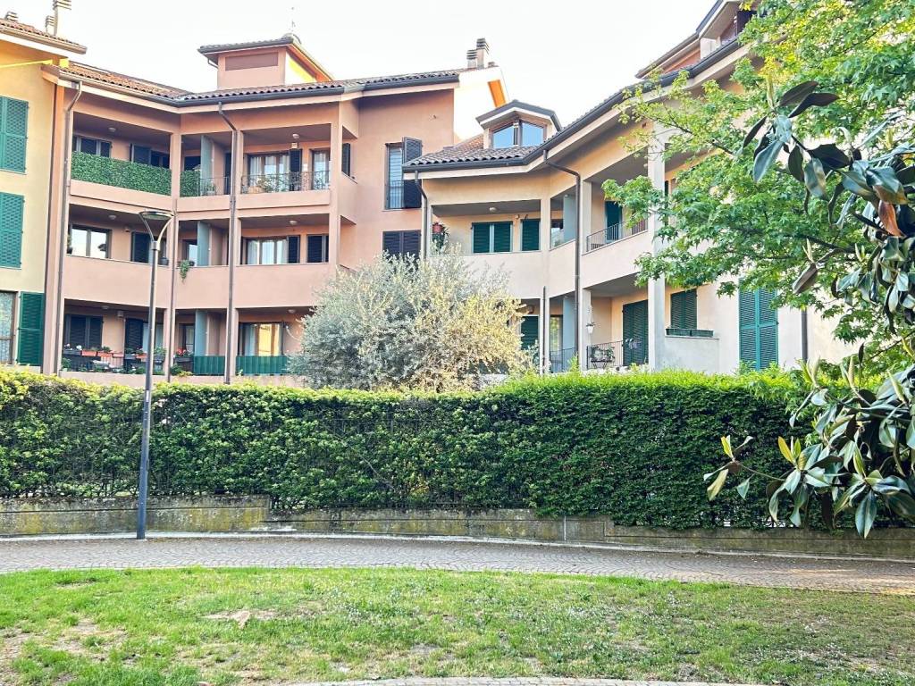 immagine annuncio 2 di 5