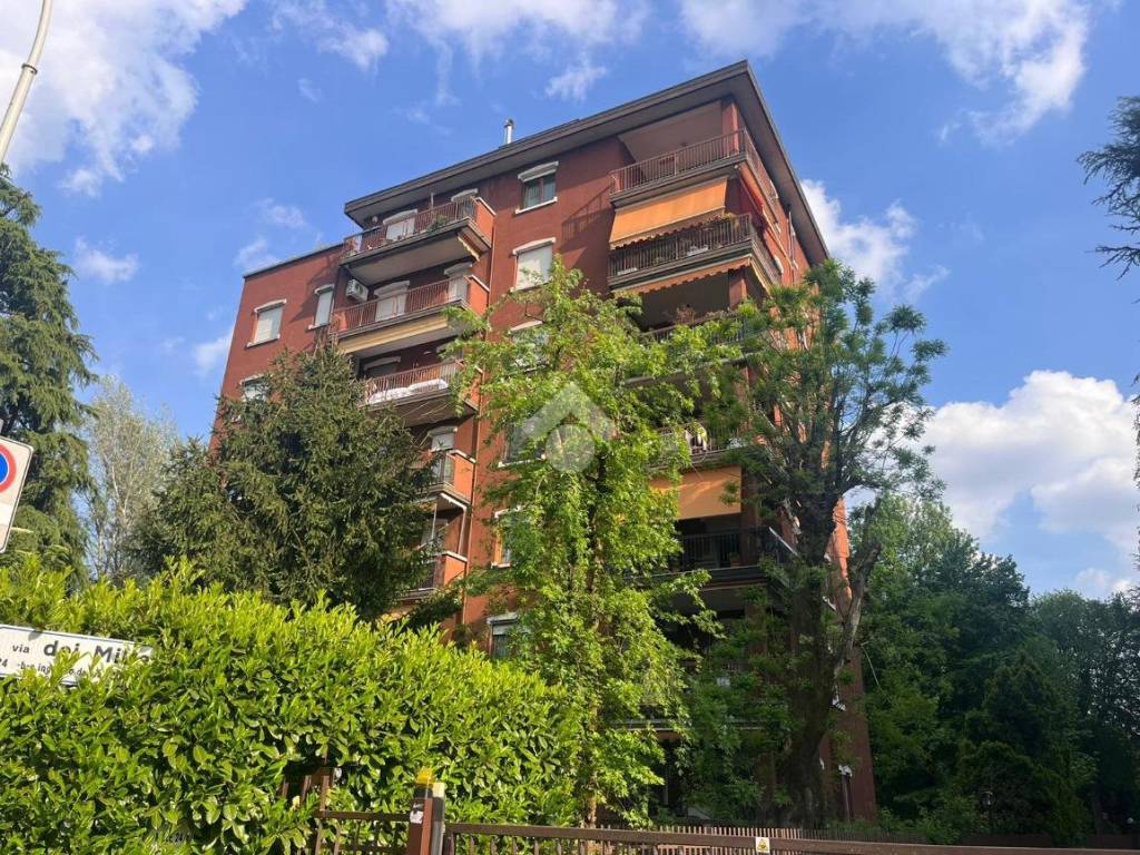 immagine annuncio 1 di 3