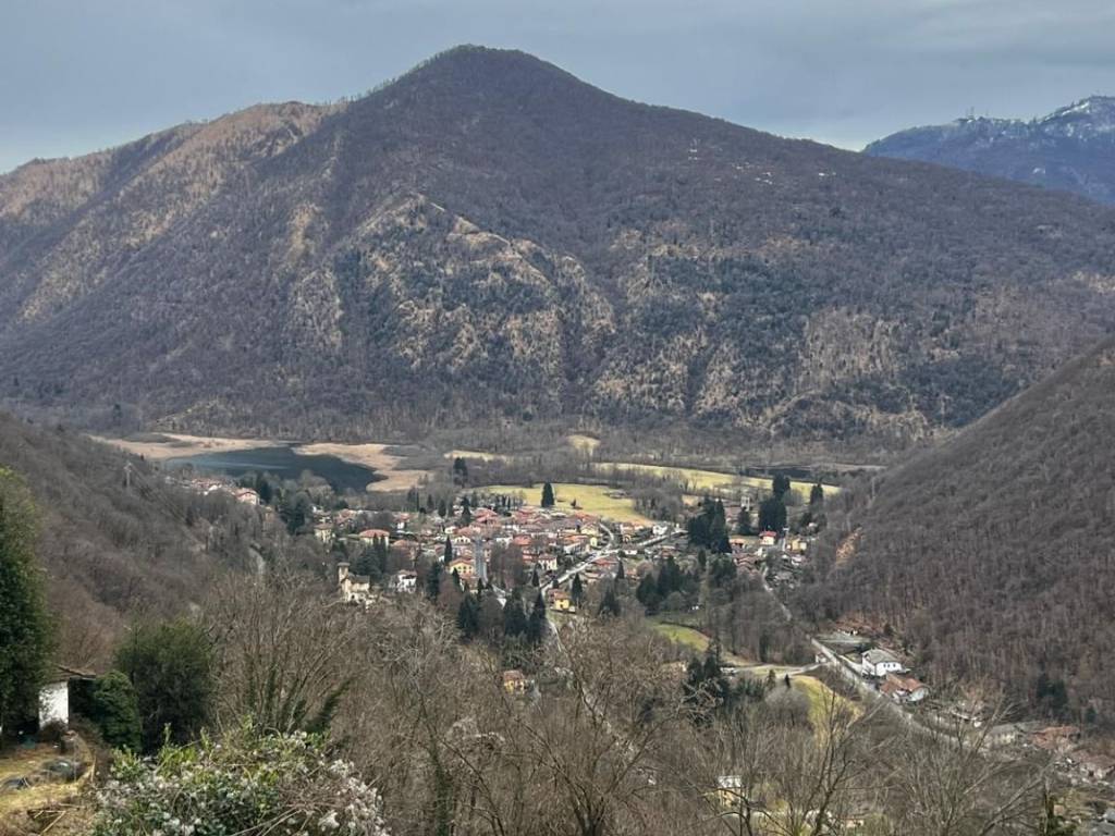 immagine annuncio 3 di 4