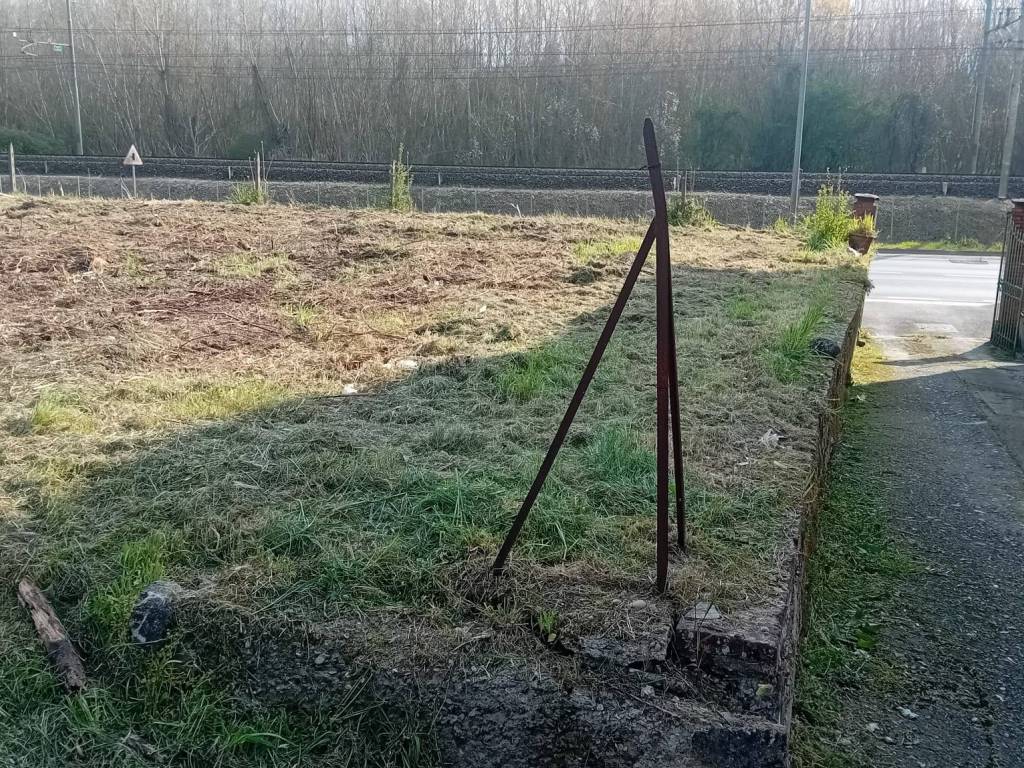 immagine annuncio 2 di 4
