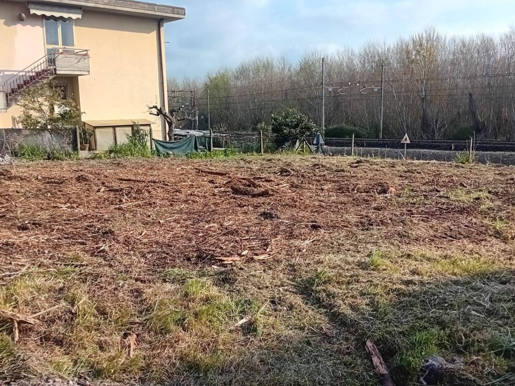 immagine annuncio 3 di 4