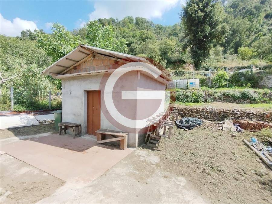 terreno agricolo in vendita a Cittanova