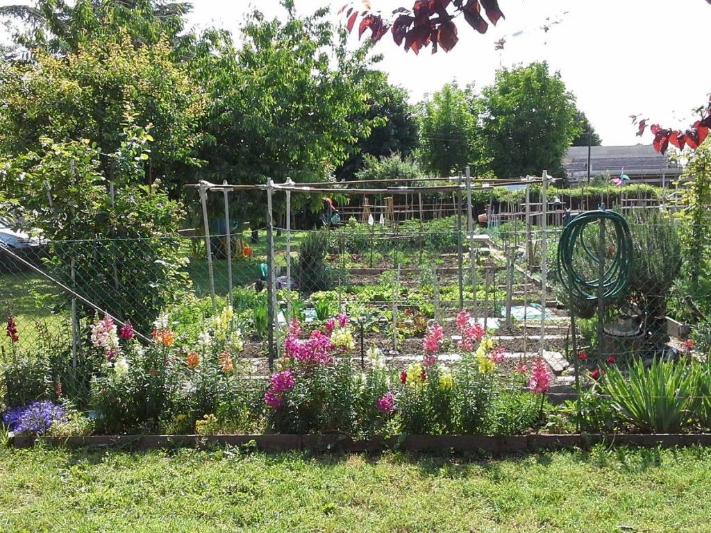 immagine annuncio 1 di 2