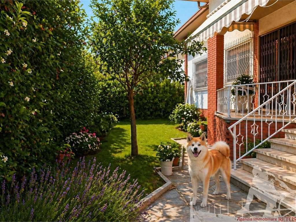 casa indipendente in affitto a Forte dei Marmi