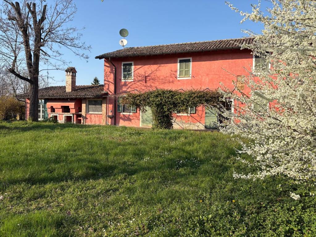 immagine annuncio 2 di 5