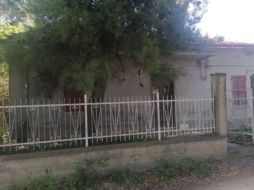 immagine annuncio 1 di 3