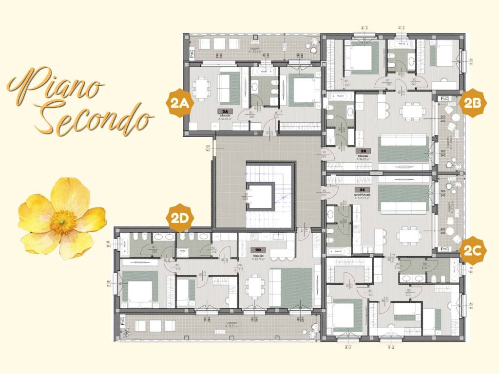 immagine annuncio 3 di 5