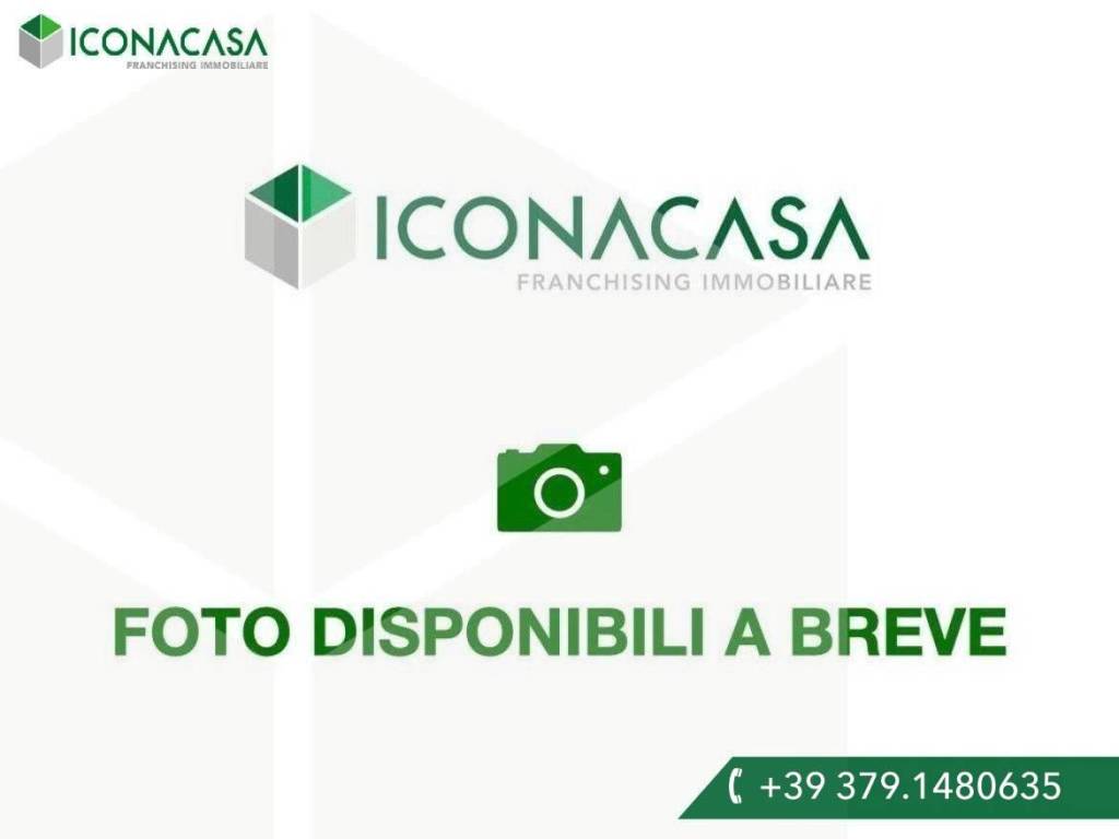 immagine annuncio 1 di 2