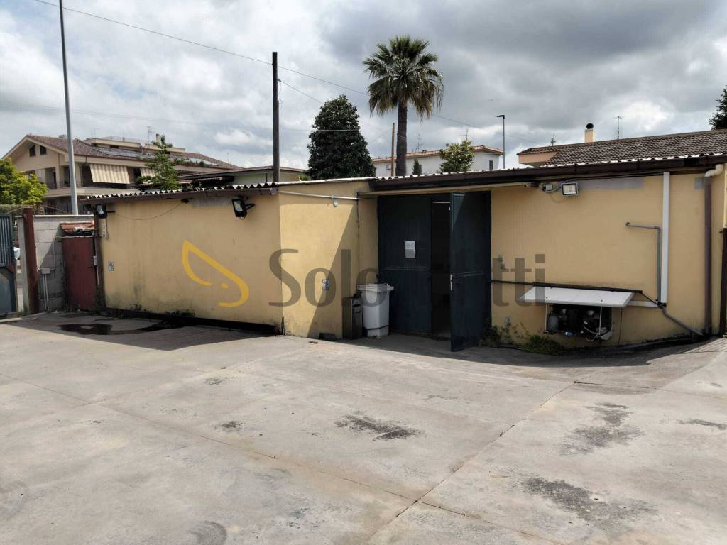 immagine annuncio 1 di 5