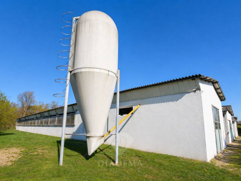 immagine annuncio 2 di 5