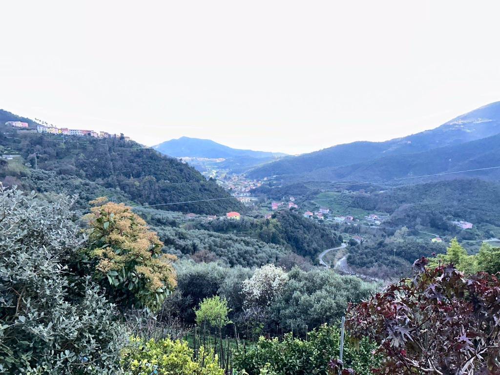 immagine annuncio 0 di 15