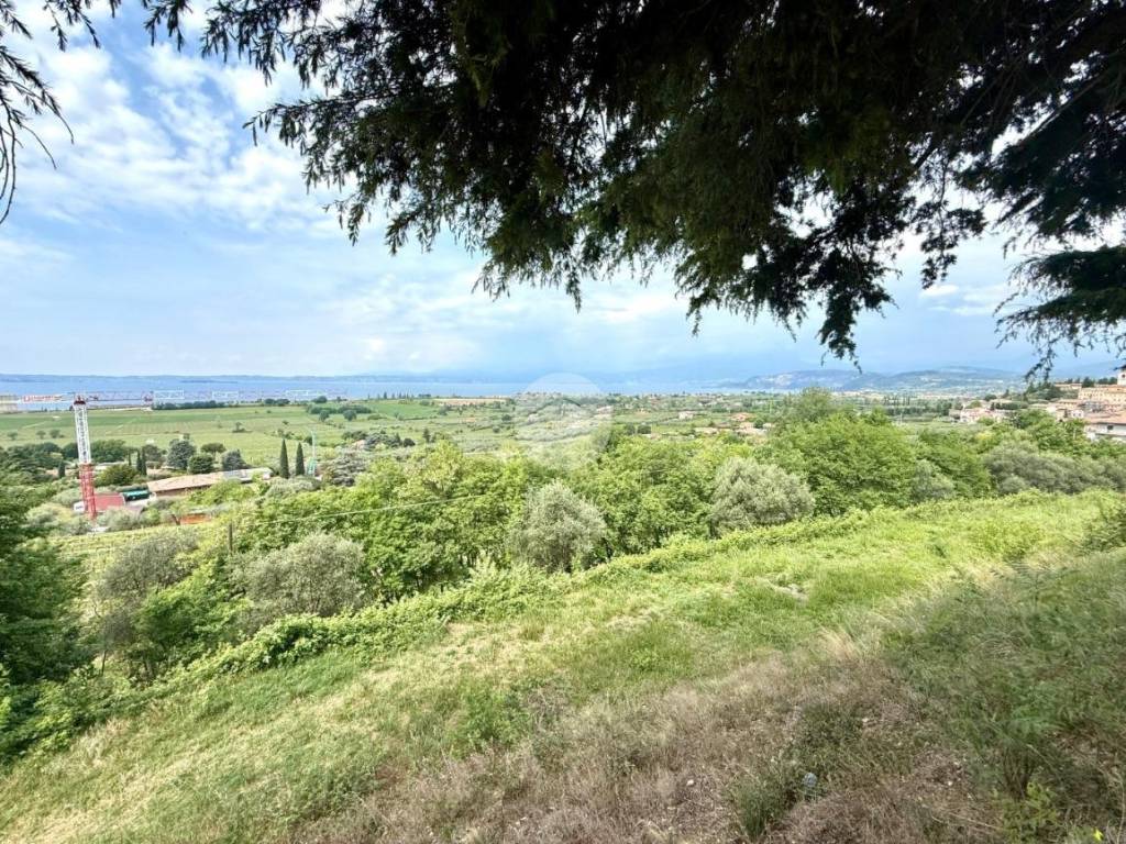 immagine annuncio 1 di 4