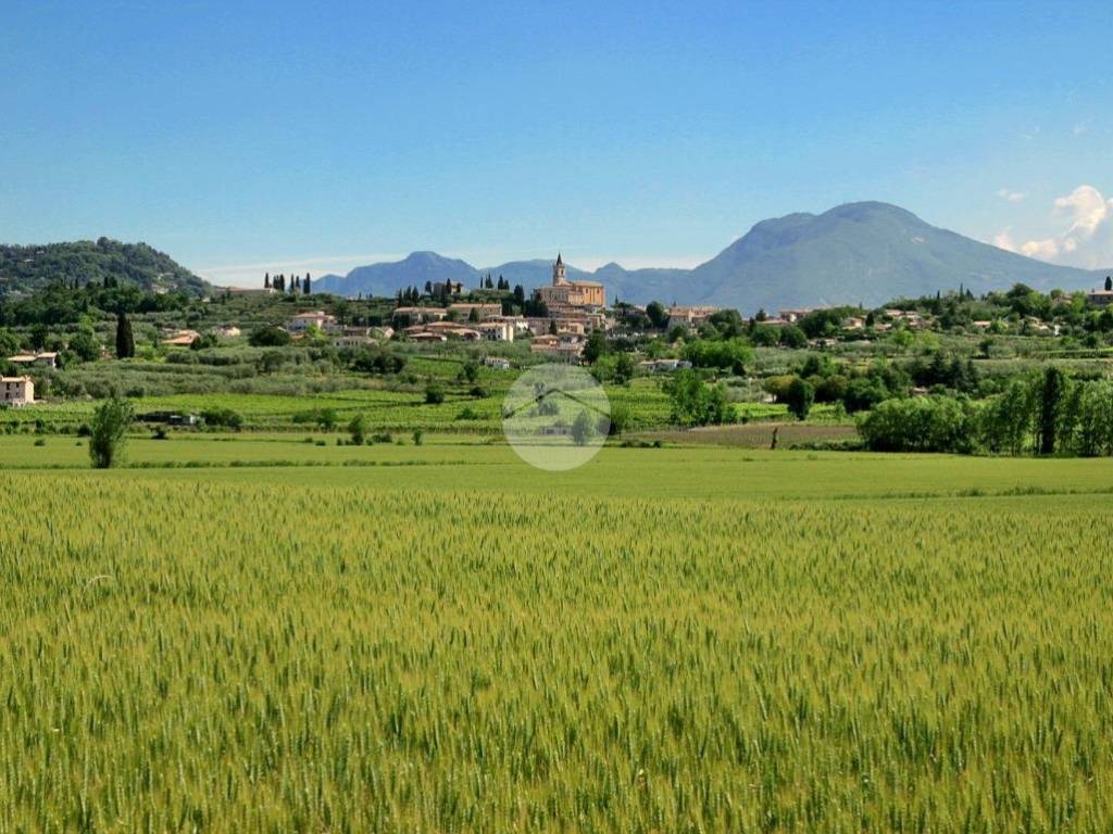 immagine annuncio 2 di 4