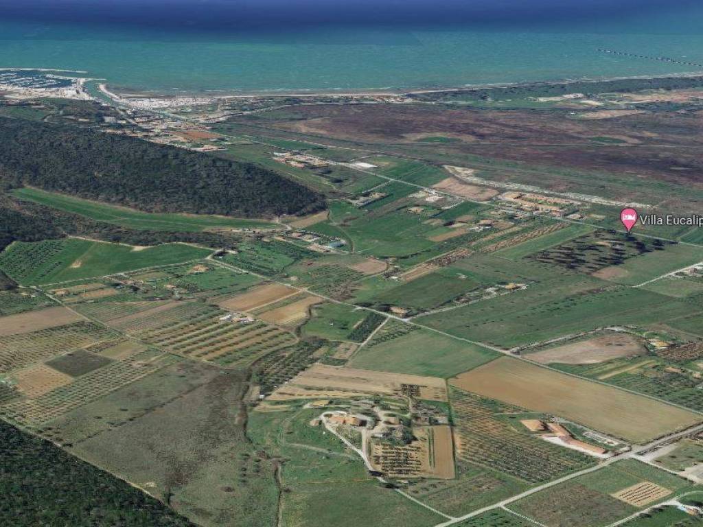 immagine annuncio 2 di 4