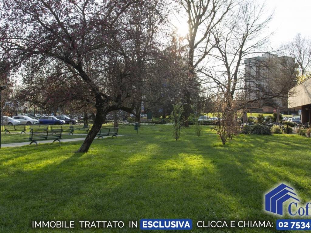 immagine annuncio 3 di 5