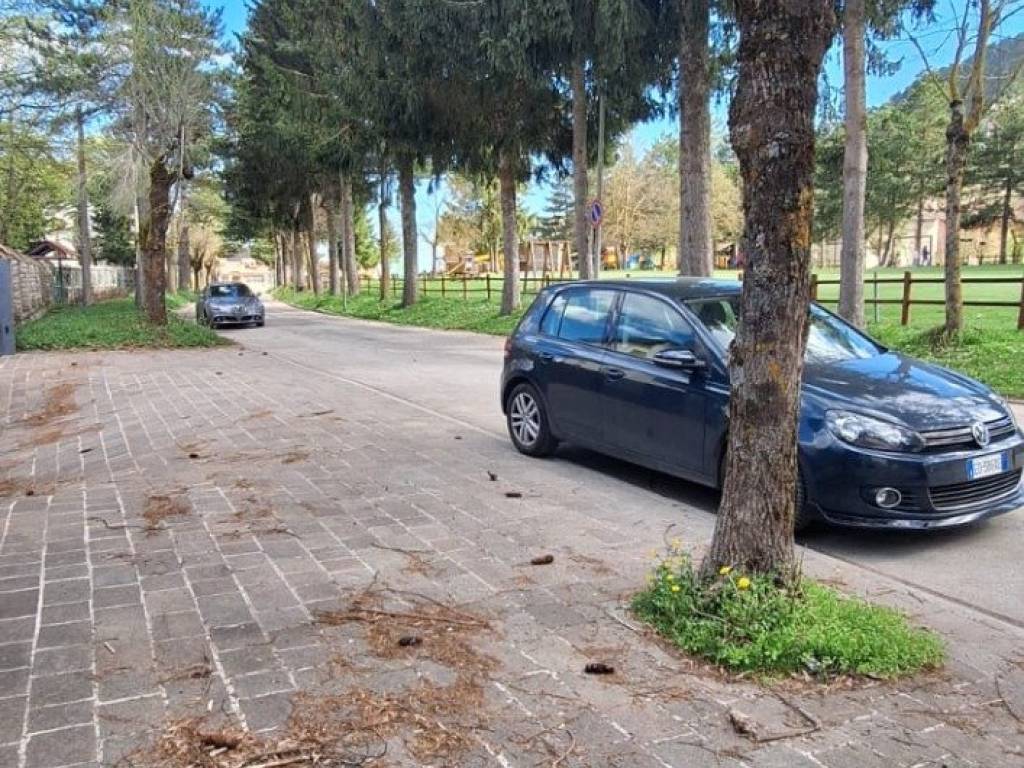 immagine annuncio 1 di 4