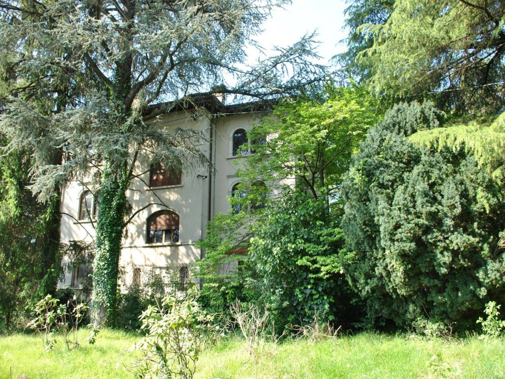 immagine annuncio 1 di 4
