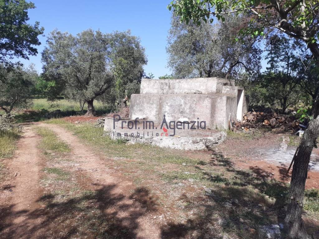 immagine annuncio 1 di 3